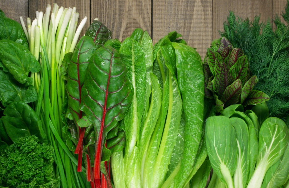 壓力斑治療 壓力斑治療