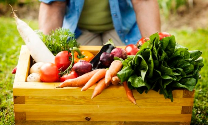 手腳冰冷運動療法 手腳冰冷運動療法