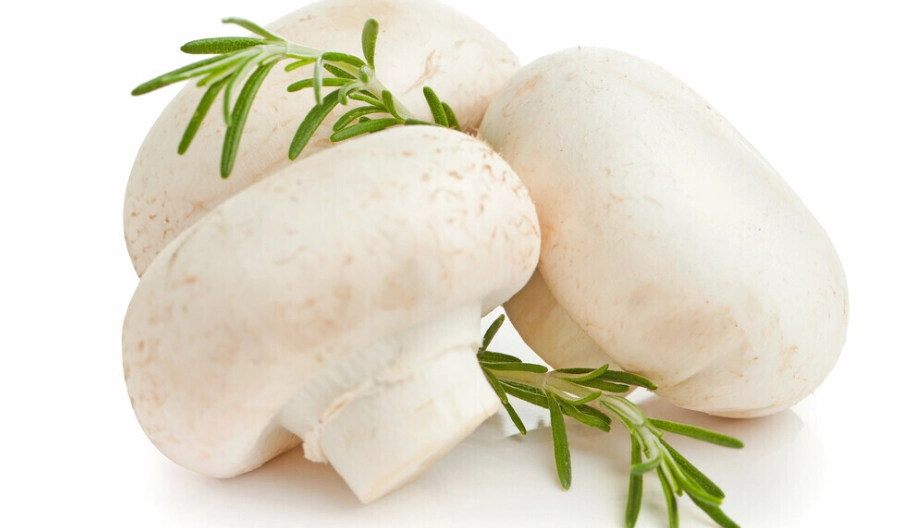 白蘑菇健康益處