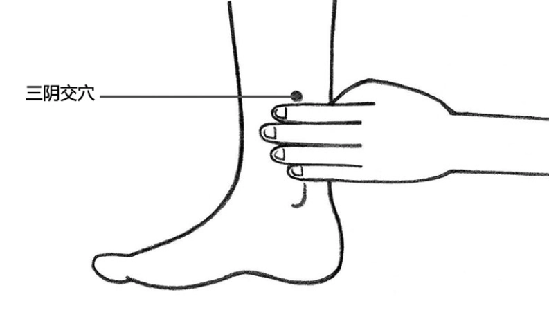 三陰交穴位置