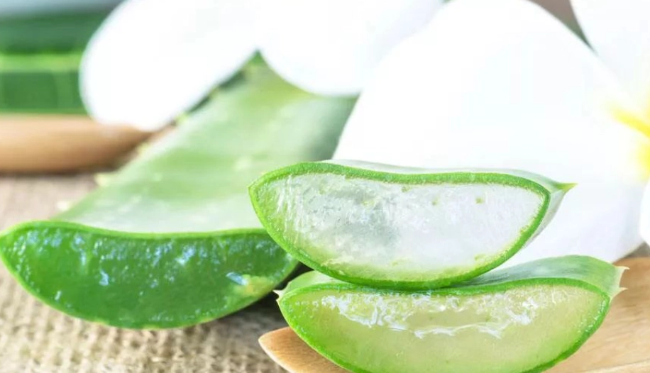 蚊子咬消腫方法