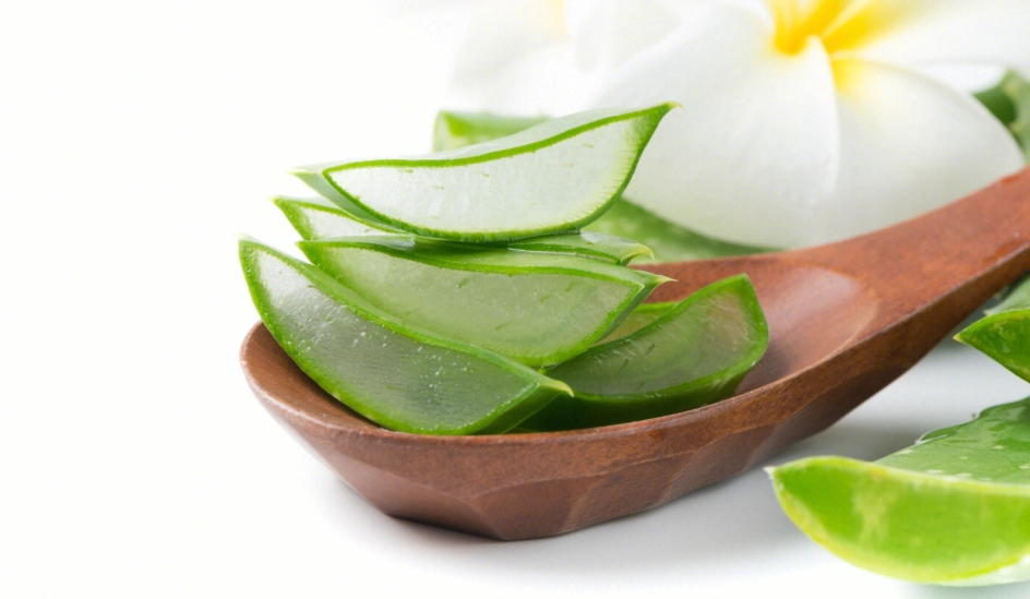 蚊子咬體質改善