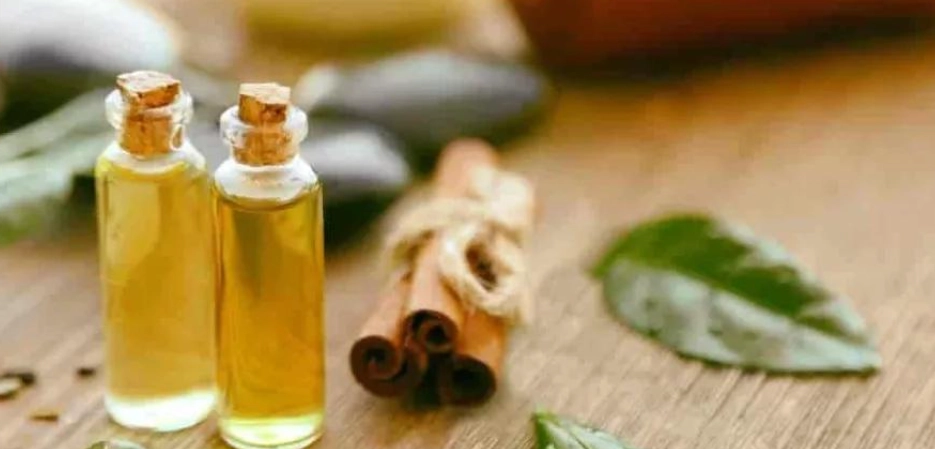 蚊子唾液過敏 蚊子唾液過敏