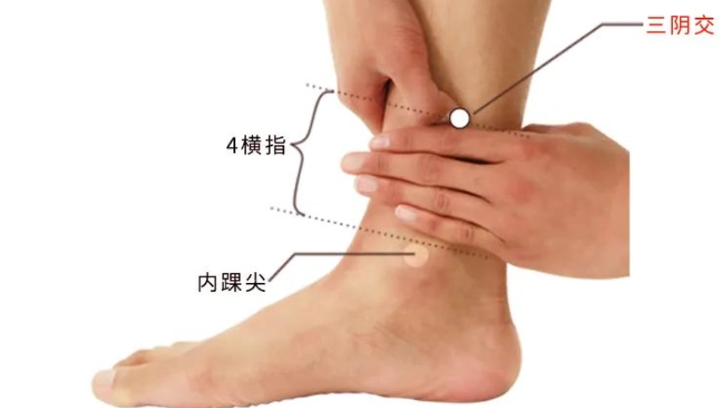 三陰交穴功效