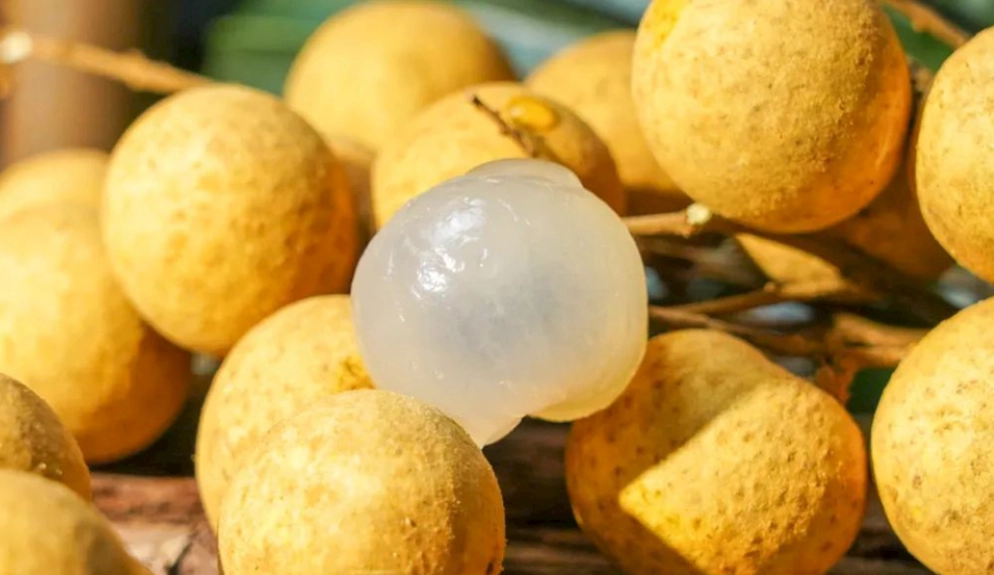 老年人循環系統問題 老年人循環系統問題