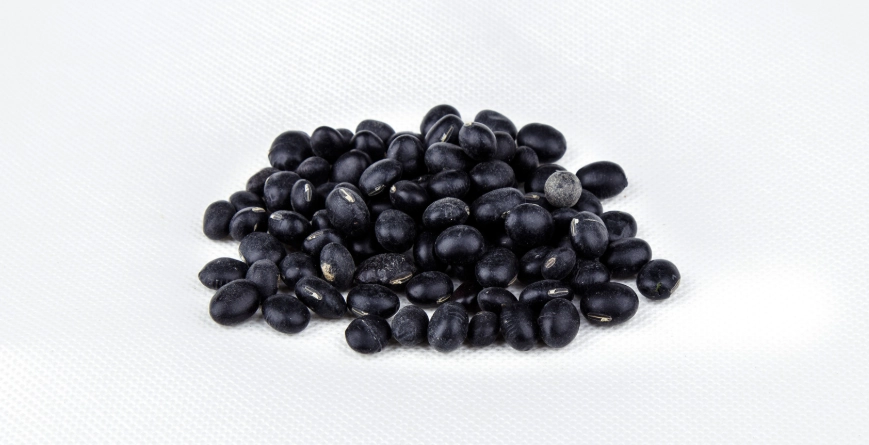 黑豆營養