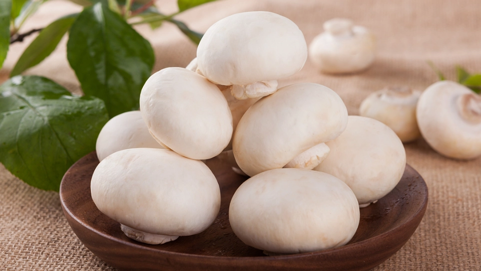 白蘑菇營養價值