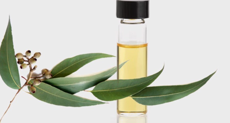 成人蚊子叮腫原因