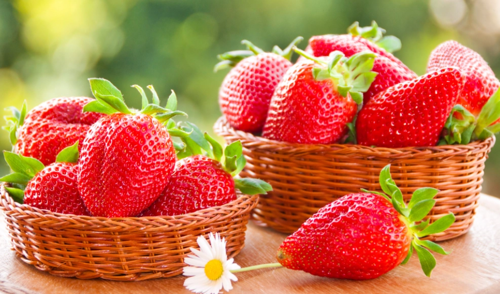 食品安全管理系統