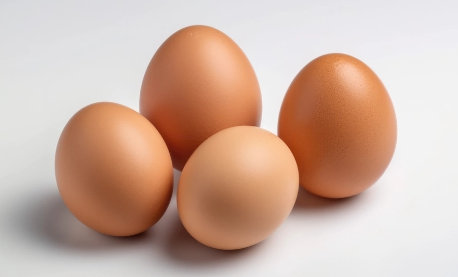 食品危險溫度帶