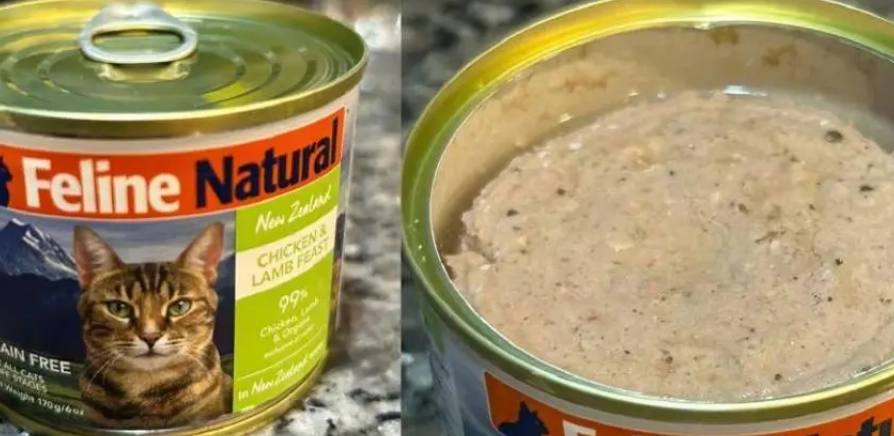 貓罐頭常溫風險