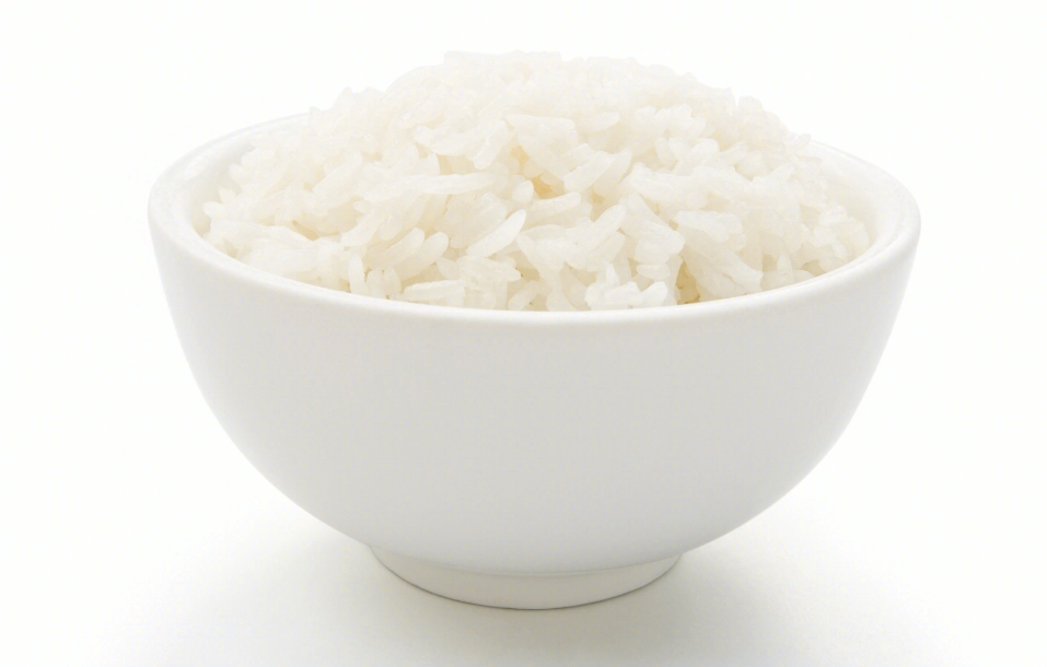 白飯室溫保存 白飯室溫保存