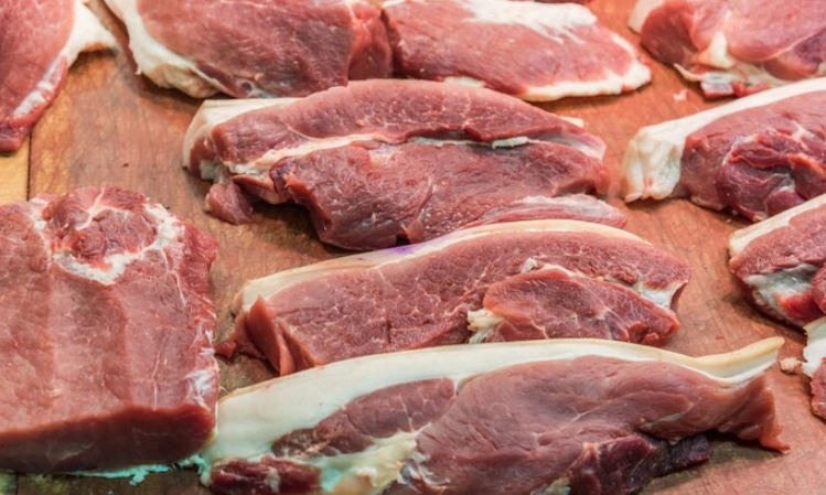 食物保存細菌滋生 食物保存細菌滋生