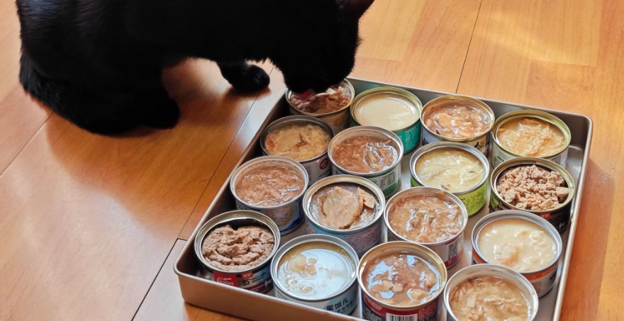 貓罐頭常溫風險