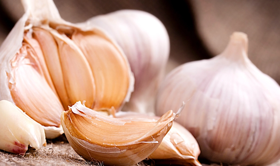 快速剝蒜 快速剝蒜