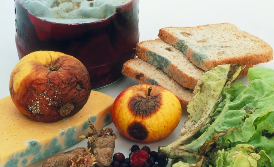 變質食物危害 變質食物危害