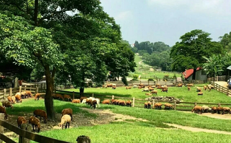 苗栗無障礙旅遊