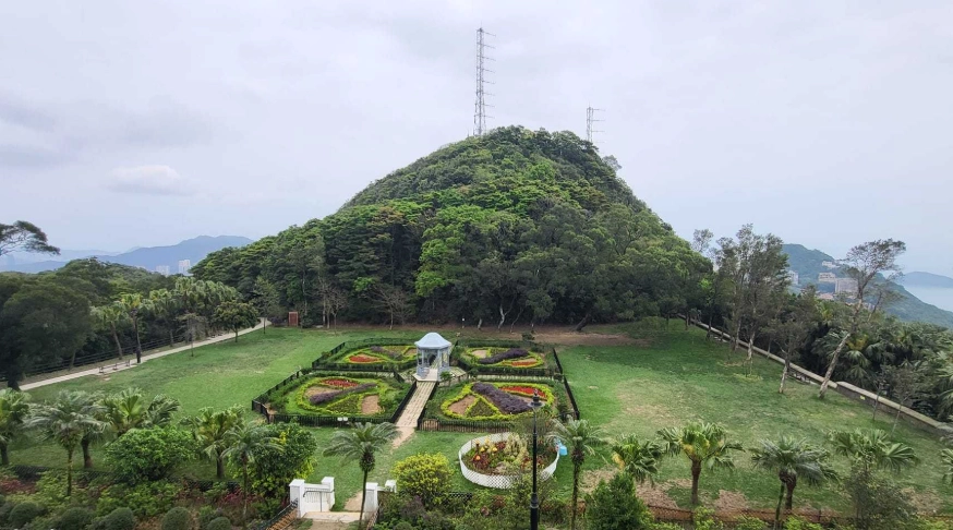 西高山 交通 西高山 交通