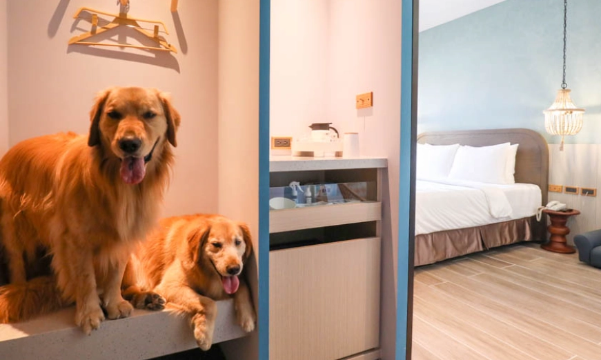 新北寵物友善民宿