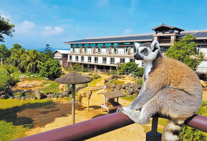 六人同行 六人同行