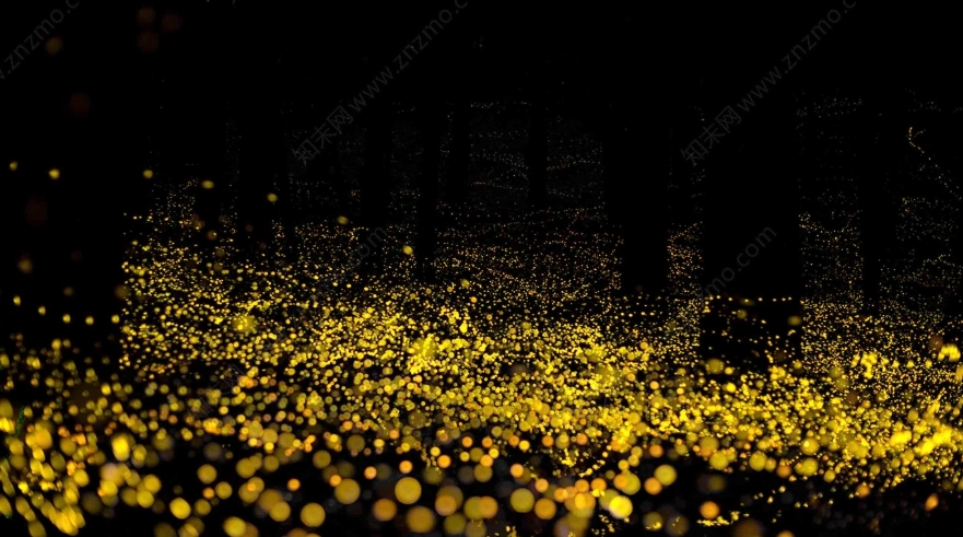 螢火蟲拍攝技巧