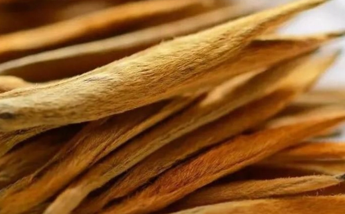 金針變黑還能吃嗎