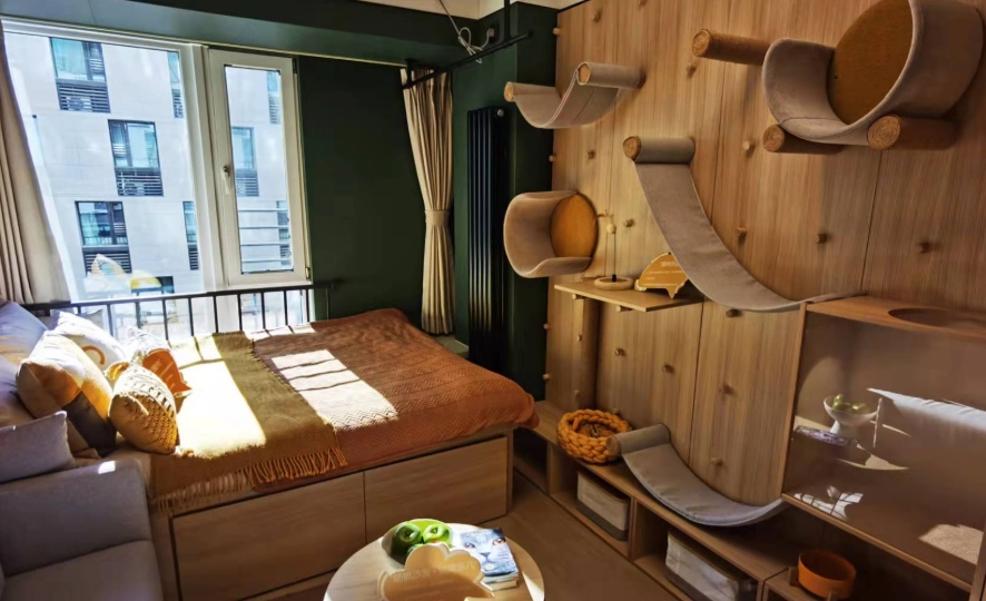 新北寵物友善民宿