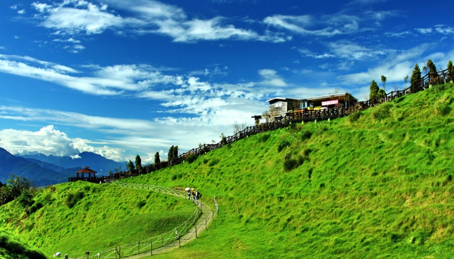 清境農場行程 清境農場行程