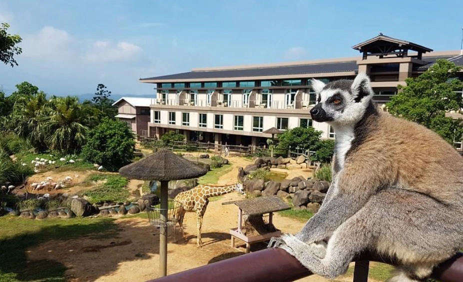 新竹親子住宿 新竹親子住宿