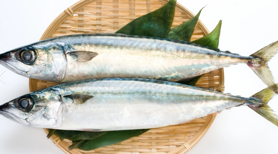 鯖魚過敏