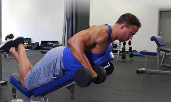 啞鈴划船 技巧 啞鈴划船 技巧