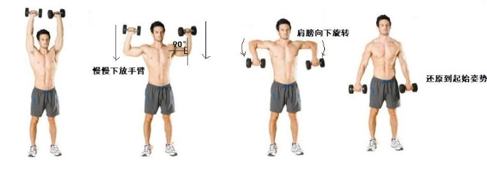 寬肩訓練 寬肩訓練