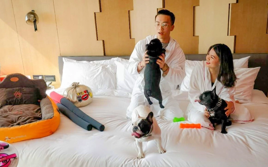 新北寵物住宿清潔費