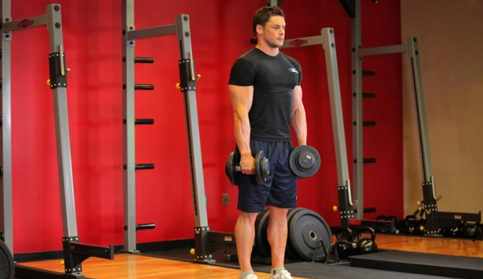 背部訓練 啞鈴 背部訓練 啞鈴