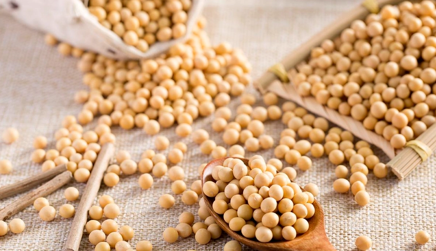 大豆蛋白缺點 大豆蛋白缺點