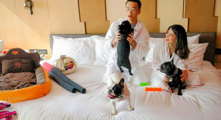 彰化帶狗旅遊 彰化帶狗旅遊