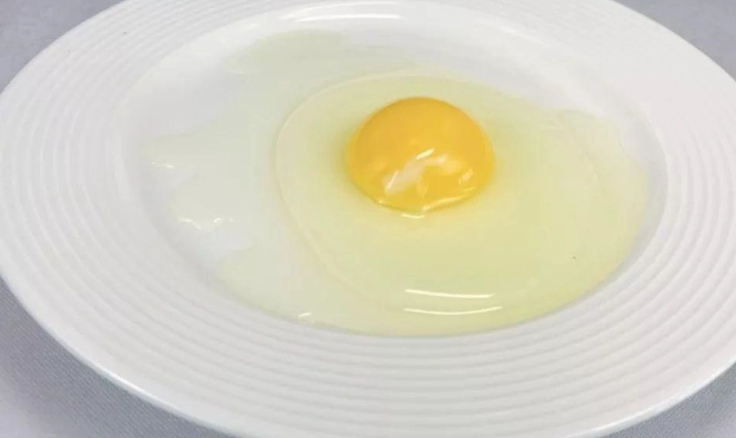 蛋白質消化時間