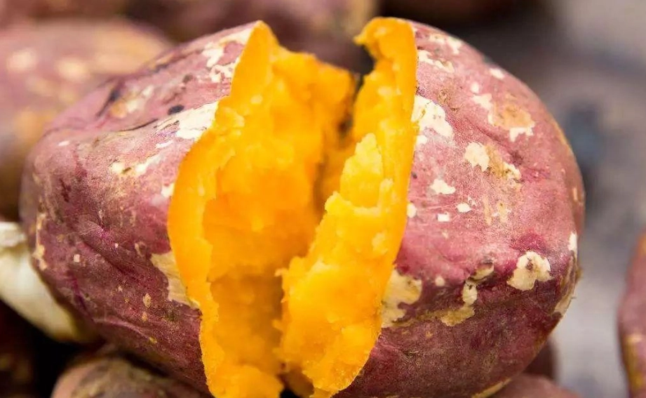 寬肩訓練女生 寬肩訓練女生