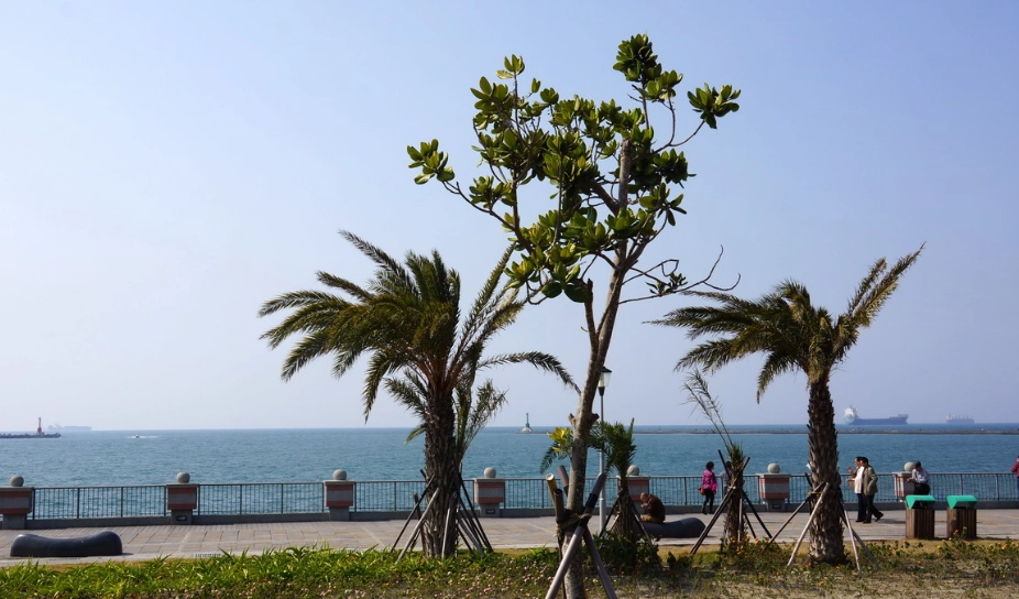 南部二日遊 南部二日遊