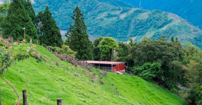 新竹拍照景點 新竹拍照景點