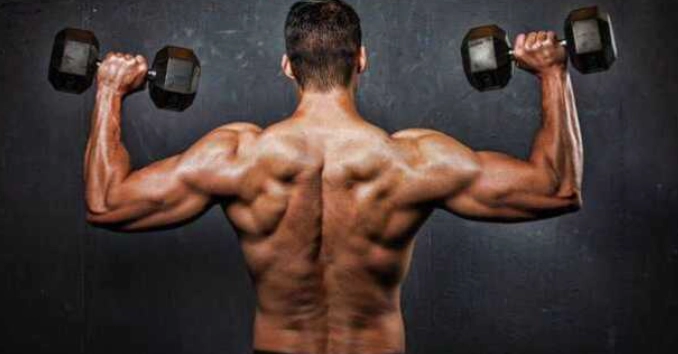 背部訓練 啞鈴 背部訓練 啞鈴