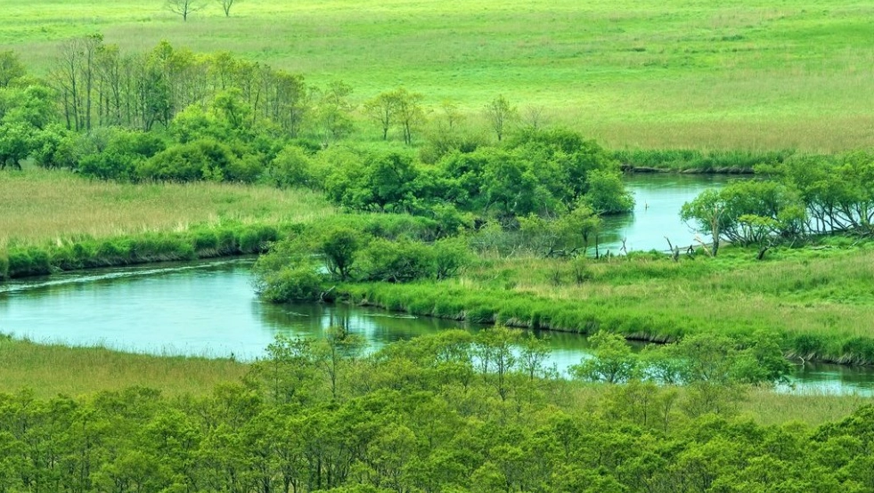 夏季 北海道 旅遊 夏季 北海道 旅遊