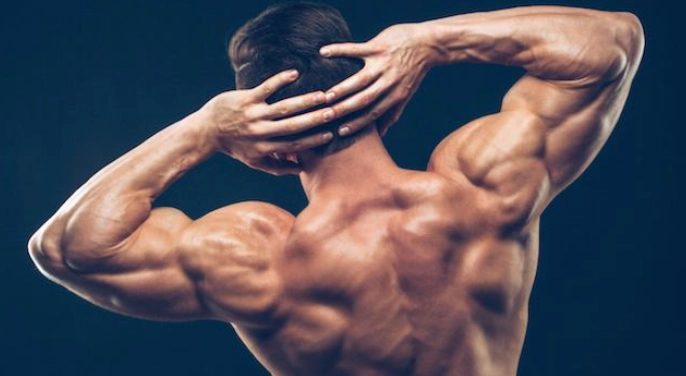 寬肩訓練 寬肩訓練