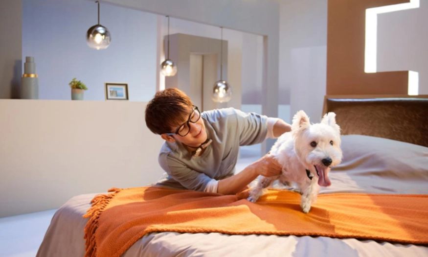 彰化帶狗旅遊 彰化帶狗旅遊