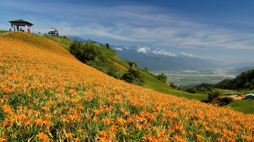 關西親子景點 關西親子景點