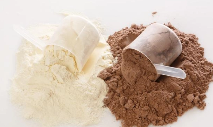 銀髮族 蛋白質補充