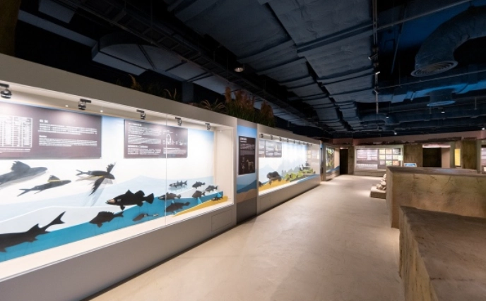 史前文化 參觀 史前文化 參觀