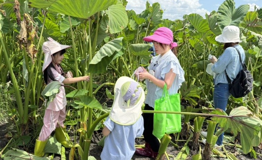 親子農場體驗