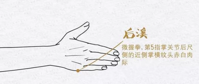 落枕按什麼穴道