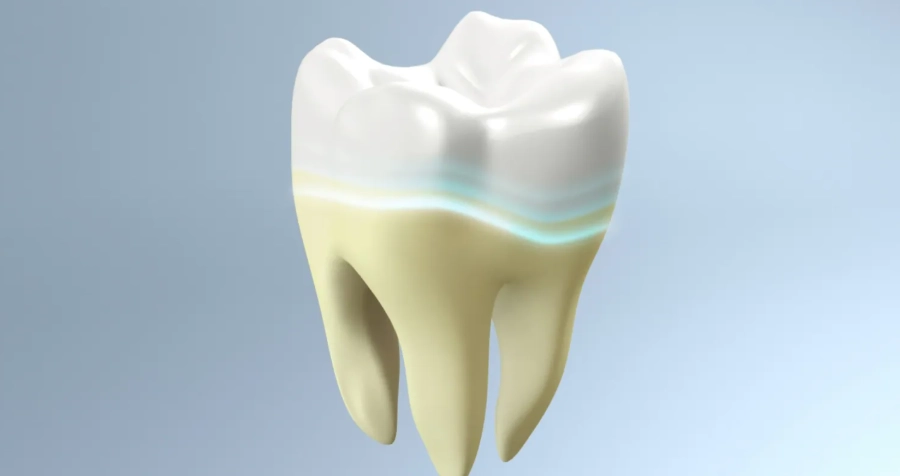 琺瑯質受損 琺瑯質受損